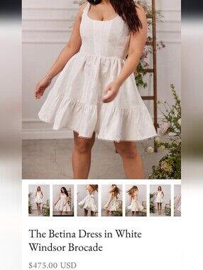 V. Chapman | Dresses | V Chapman Betty Dress In Chantilly Lace | Poshmark